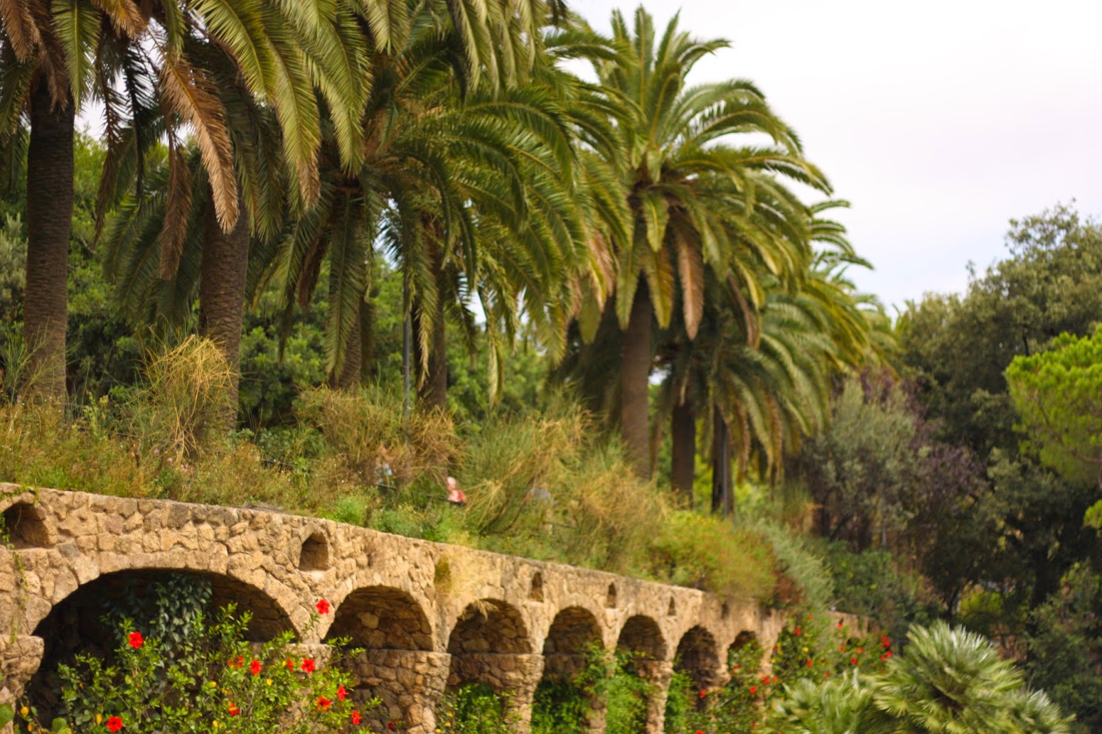 Stone arched viaduct lined with palm trees and red flowering shrubs, lush green and earthy tones, tranquil park scene